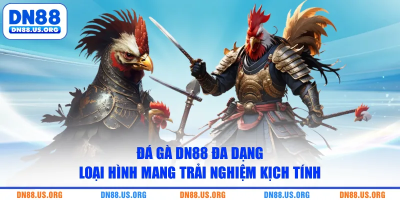 Đá gà DN88 đa dạng loại hình mang trải nghiệm kịch tính 