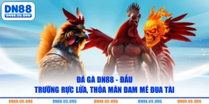 Đá Gà DN88 - Đấu Trường Rực Lửa, Thỏa Mãn Đam Mê Đua Tài